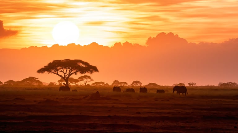 A herd of African elephants walking across the open plains at sunset in Africa