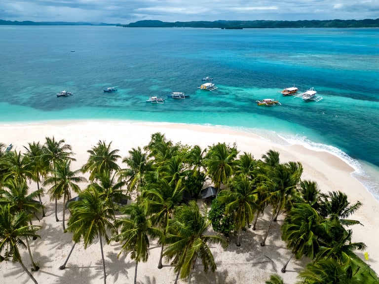 Tropical beach with palm trees and boats — Zanzibar Guest Travel Planner by Royal Wedding Cinema Tanzania