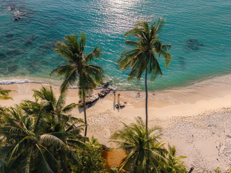 Tranquil tropical beach with palm trees by crystal-clear turquoise water