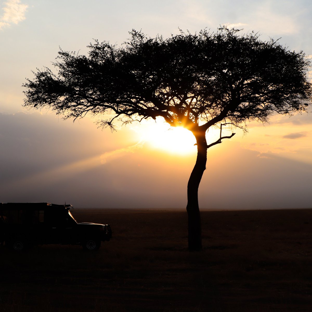 Safari vehicle silhouetted against a golden sunset in the Serengeti
