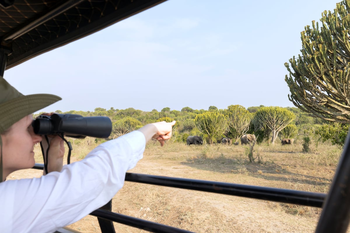 Guest on safari standing in an open-roof jeep observing wildlife through binoculars